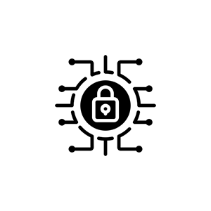 Seguridad integral