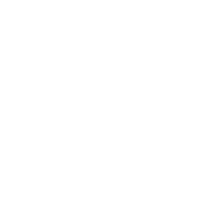 Seguridad integral